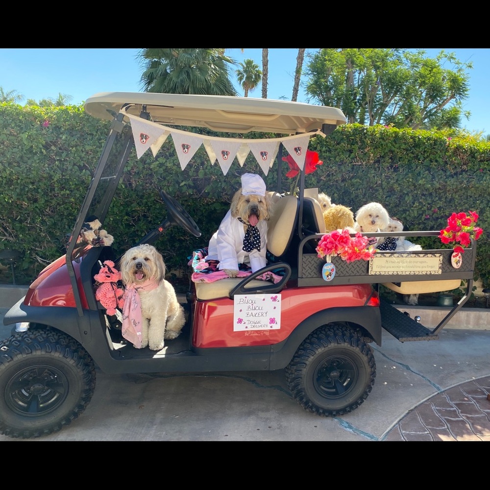 ⭐️Posh Ambassador II ⭐️ - Picture 16 of 16